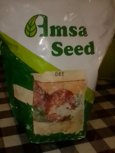 Beet Root Seed For Sale 