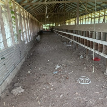 20ft X 180ft Chicken Coup For Rent/Lease