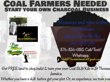 Want To Start A CharCoal Business? FREE LAND + TRA