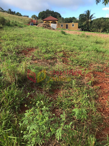 1 And 1/4 Acres Of Land With Small Building