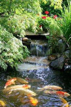 Waterfall, Ponds And Other Water Features