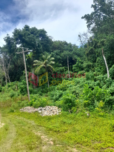 5 Acres Of Land In Ocean Ridge/ Spring Valley