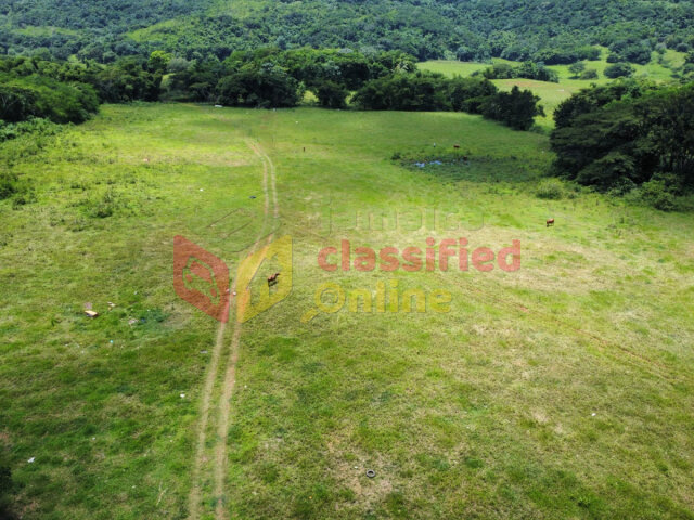 9.6 Acres