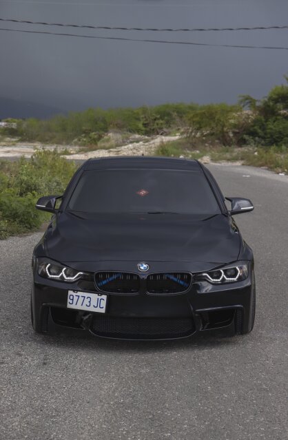 2015 BMW F30