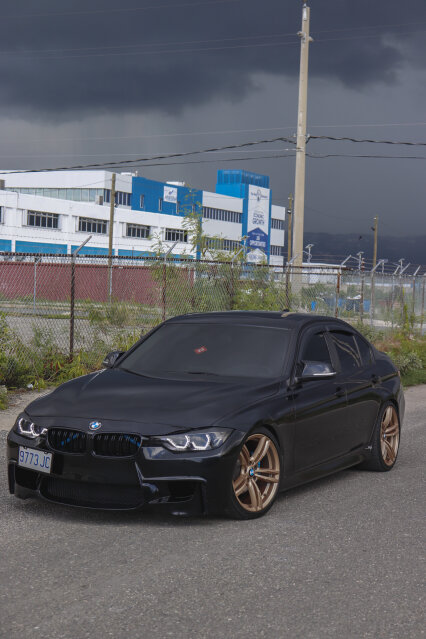 2015 BMW F30