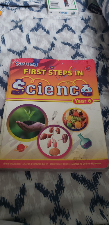 First Steps In Science Year 6 Carlong Primary Book