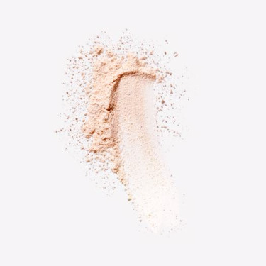 THE ONE Make-up Pro Loose Powder