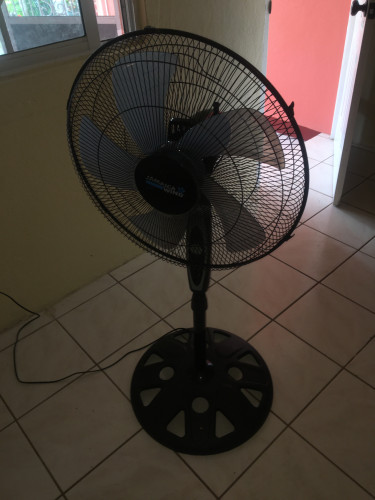 Jamaica Wind Fan