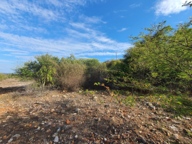 LOT 1 AND 2 FOR SALE -Hellshire, Portmore