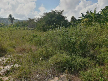 For Sale: 1/3 Acre Of Land - Greenwood