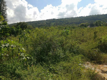 1/3 Acre Of Land