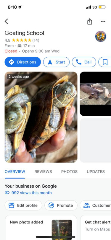 Pets Turtles For You & Your Kids 