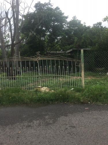  5 1/2 Acre For Sale, Spanish Town