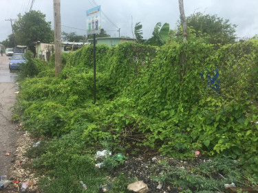  5 1/2 Acre For Sale, Spanish Town