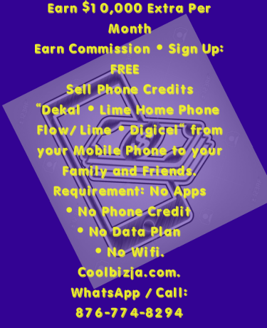 PHONE TO PHONE CREDITS/MINUTES - PROFIT $10,000 • 