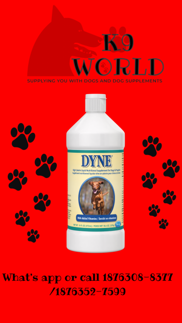 Dyne - Vitamin Supplement For Dogs And Puppies 