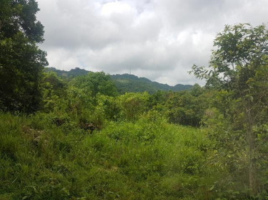 1 Acre Land For Sale