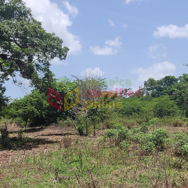 Title In Hand....1.65 Acre In Nain St Elizabeth 