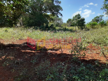 Title In Hand....1.65 Acre In Nain St Elizabeth 