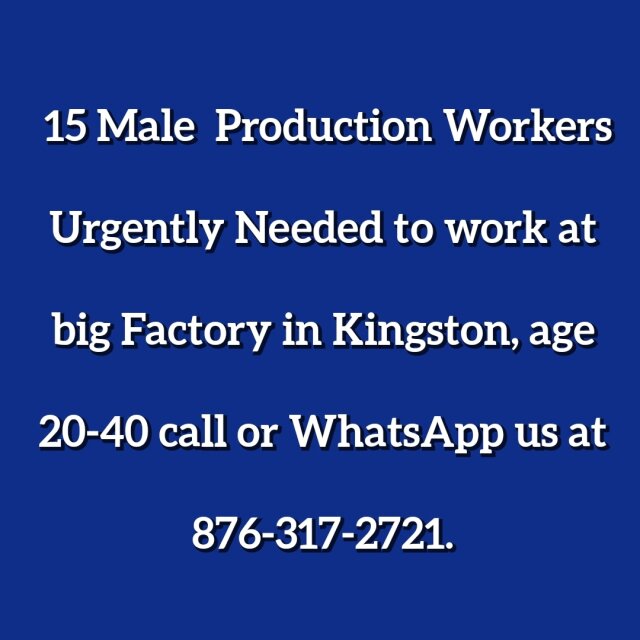 Factory In Kingston Seeking 15 Males