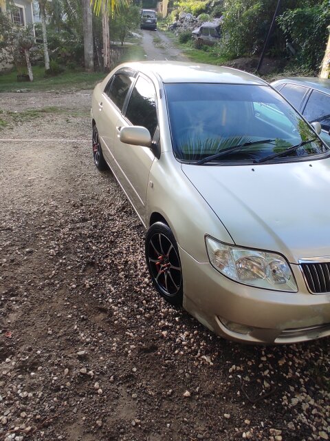 2005 Toyota Corolla