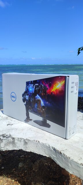 Dell Gaming Monitor