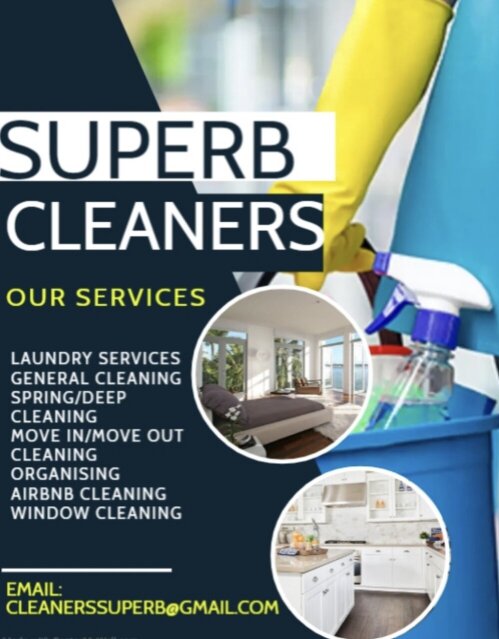 Proffessional Cleaning Service