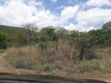 GREENSIDE 1/4 ACRE LOT FOR SALE US$60,000