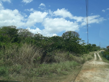 GREENSIDE 1/4 ACRE LOT FOR SALE US$60,000