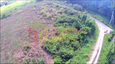 Land For Development Sweet River