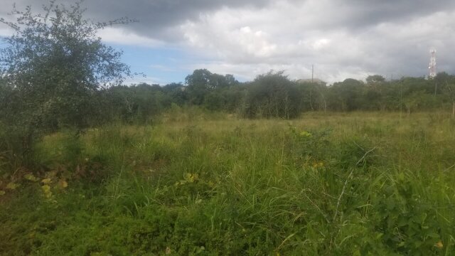 1 Acres Of Land