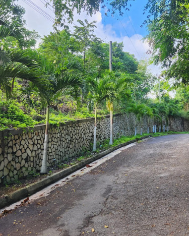 Gorgeous Lot In The Heart Of Ocho Rios!!!