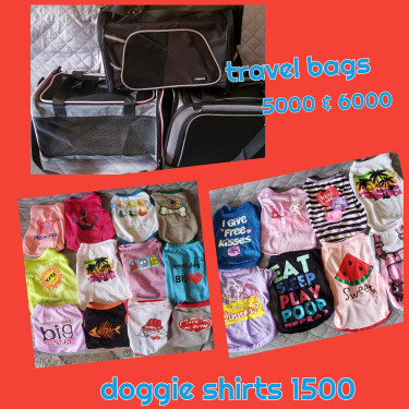 Doggie Supplies: Crates, Tents, Beds, Travel Bags 