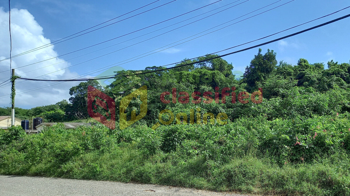2 Acres Of Land