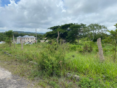 1/4 Acre Of Land For Sale