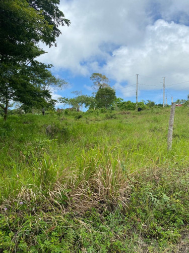 1/4 Acre Of Land For Sale