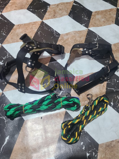 Dog Food ,muzzles,harness And Leash Available