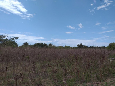 5 Acres Of Flat Land For Sale 