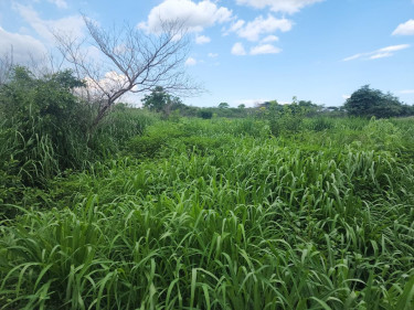 5 Acres Of Flat Land For Sale 