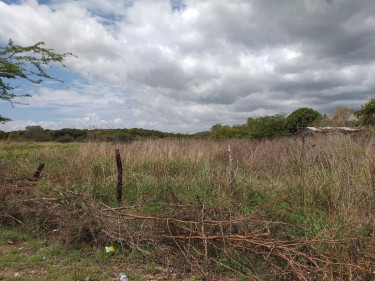 5 Acres Of Flat Land For Sale 