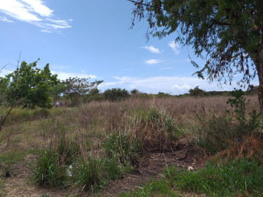 5 Acres Of Flat Land For Sale 