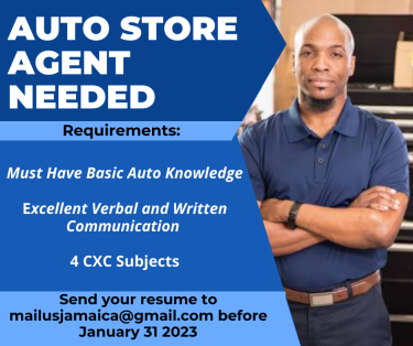 Auto Store Agent Needed