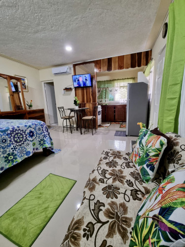 for-rent-1-bedroom-apartment-furnished-in-ocho-rios-st-ann