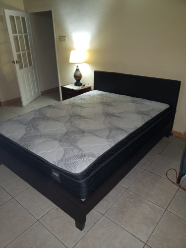 Queen Sized Bed (Frame & Sealy Mattress)