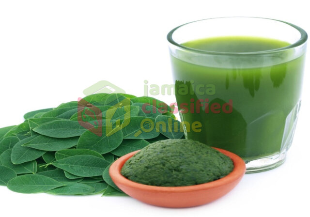 Moringa Powder, Juice,plants And Seeds For Sale