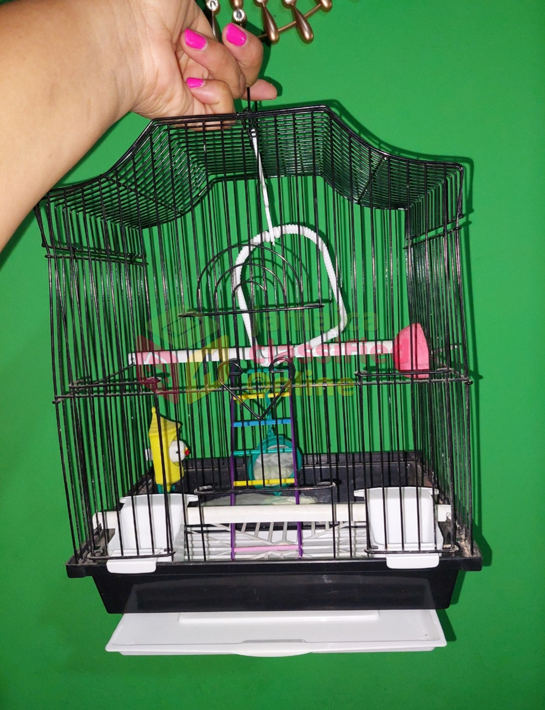 Bird Cage With Feeders And Toys For Sale - Hagley Park