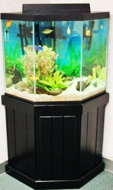 Large Fish Aquarium Tank With Filter On Sale