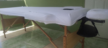 Portable Massage/ Lash/ Facial Bed