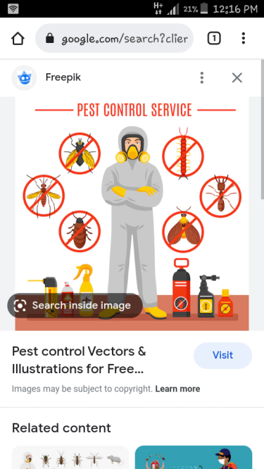 Ppest Control Service