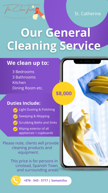 The Clean Team: General Cleaning Service